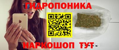 кристаллы Гусь-Хрустальный
