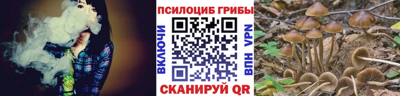 Галлюциногенные грибы ЛСД МЕГА маркетплейс Михайловск